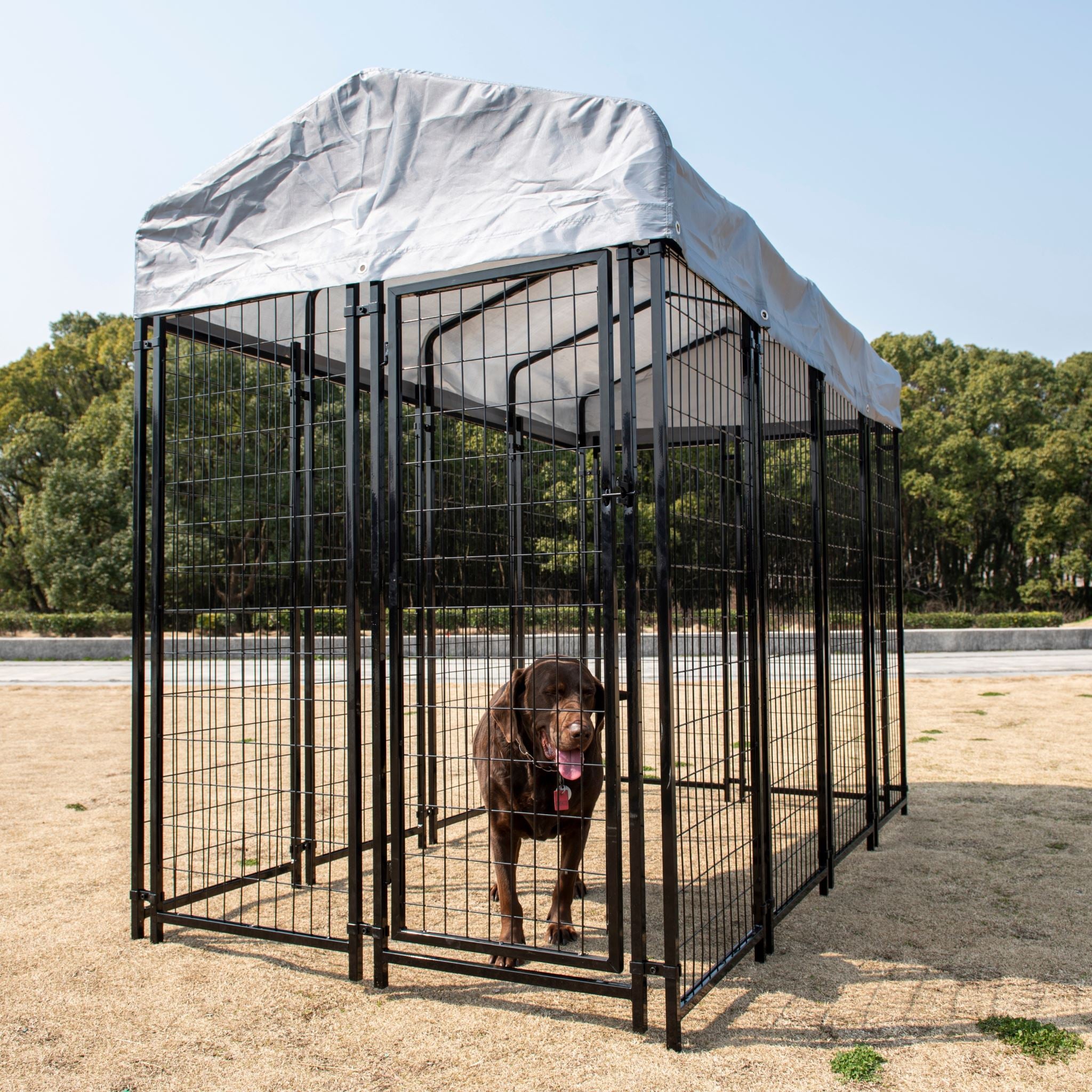 Large Pet Enclosure Dog Run – Paktec.nz