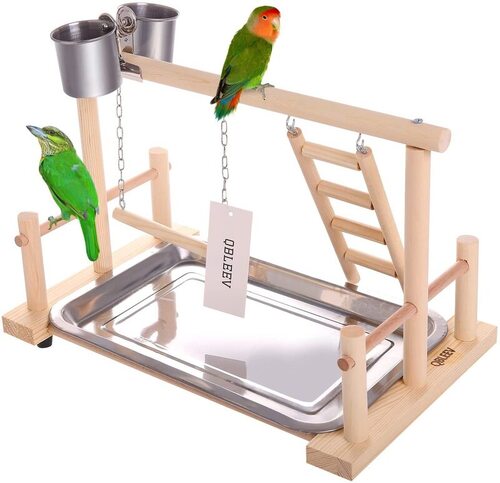 ADNIKIA Bird Perches Cage Toys Bird Wooden Play Gyms Stands with Climbing  Ladder, Parrot Play Stand and Bird Swing Conure for Green Cheeks, Baby