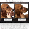 Dog Muzzle Dog Muzzles M