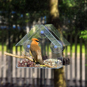 Bird Feeder Birds Feeders