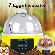7 Egg Incubator