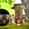 Solar Bird Feeder